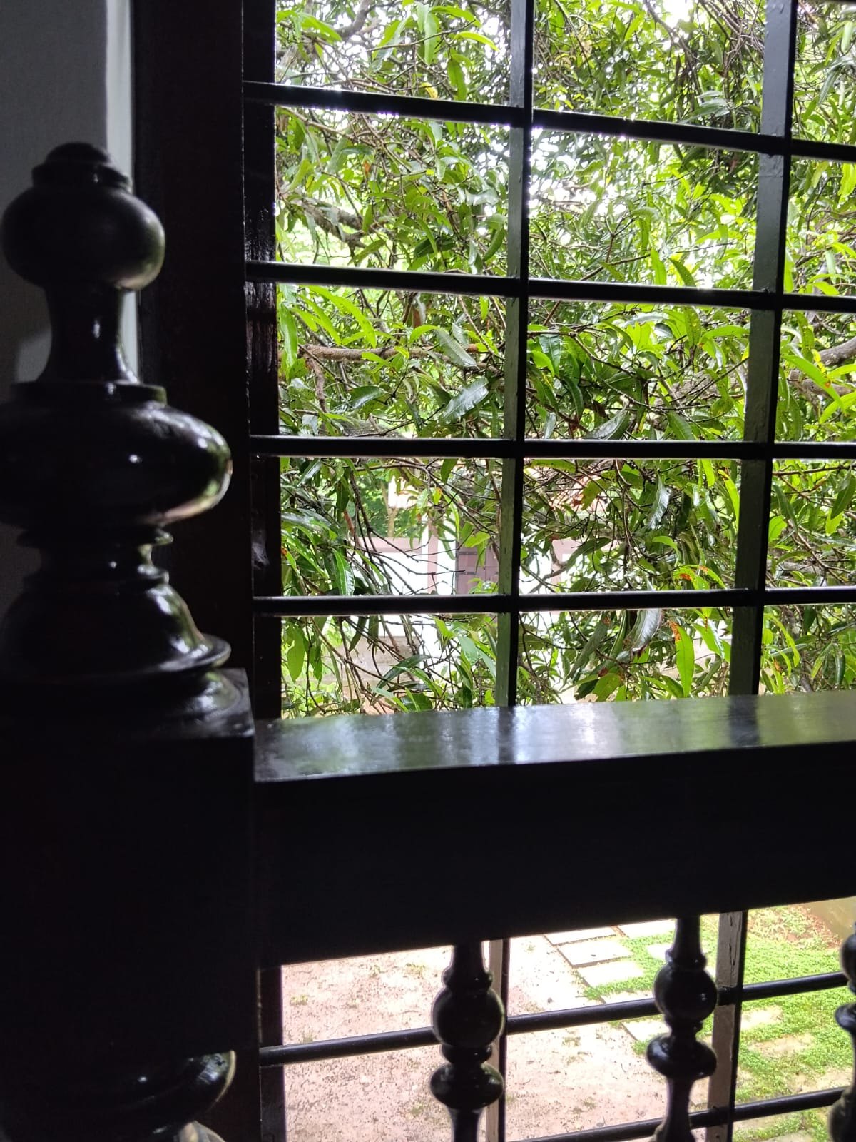 A green view through heritage-style windows
