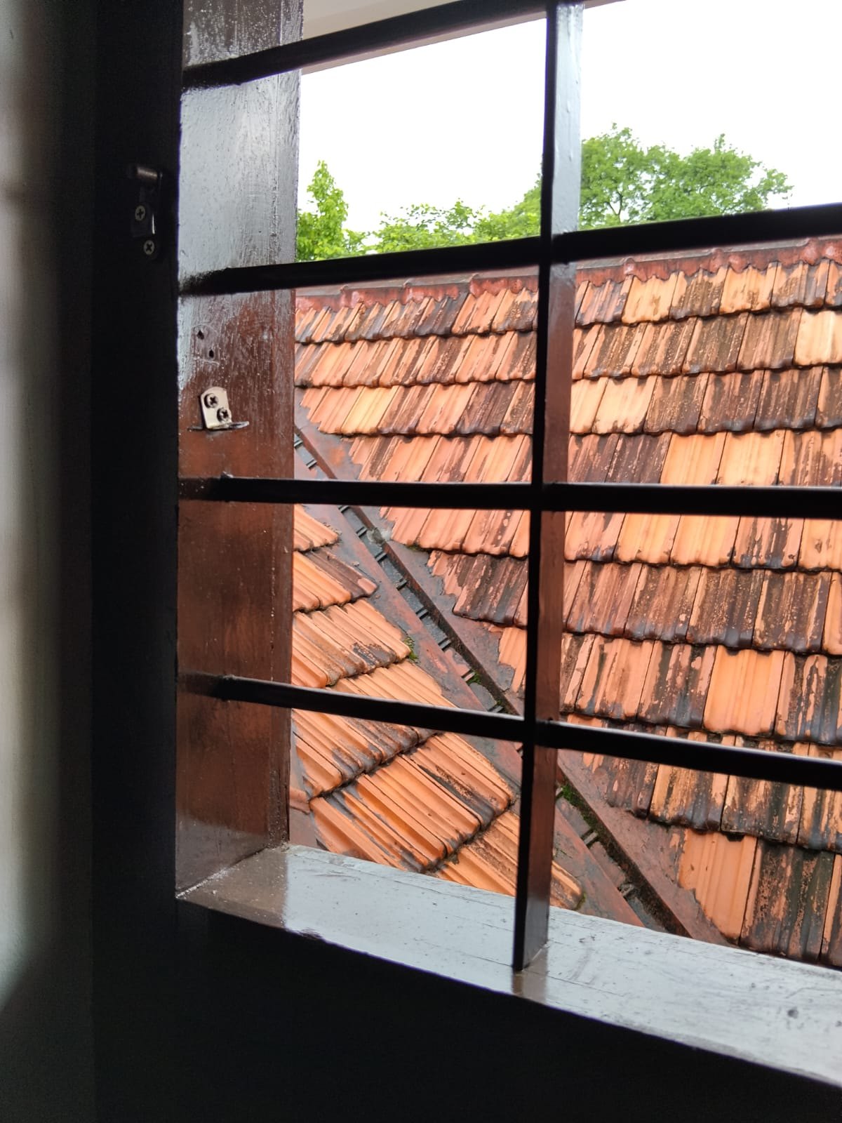 Terracotta roof view from the window