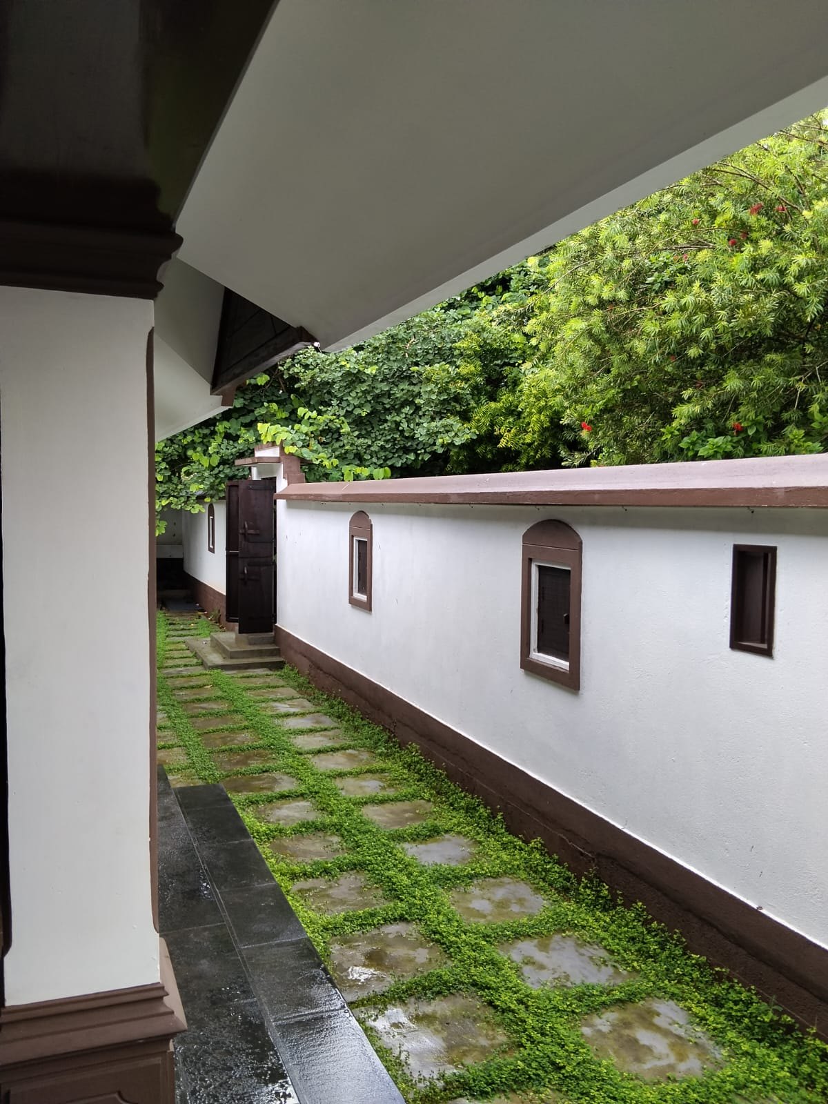 Garden pathway beside the homestay