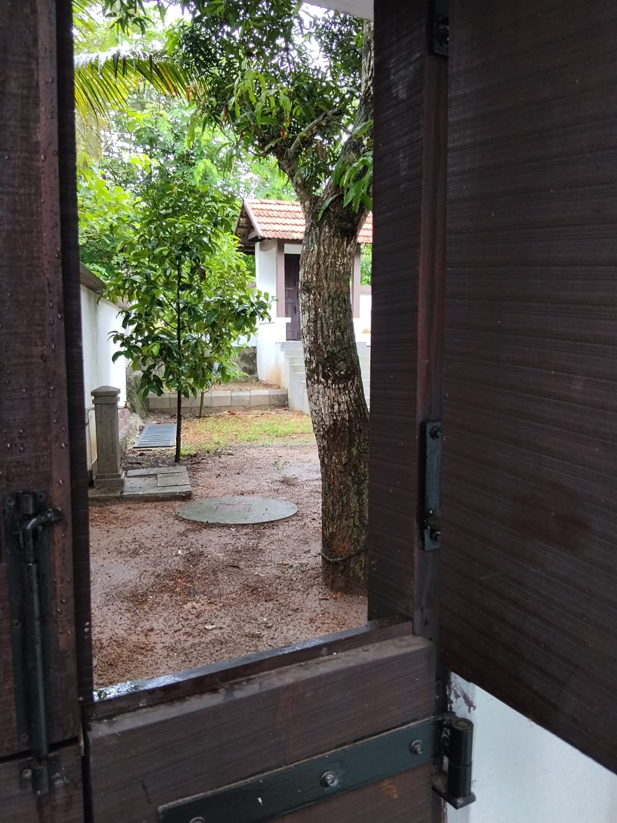 View through wooden shutters into the green courtyard