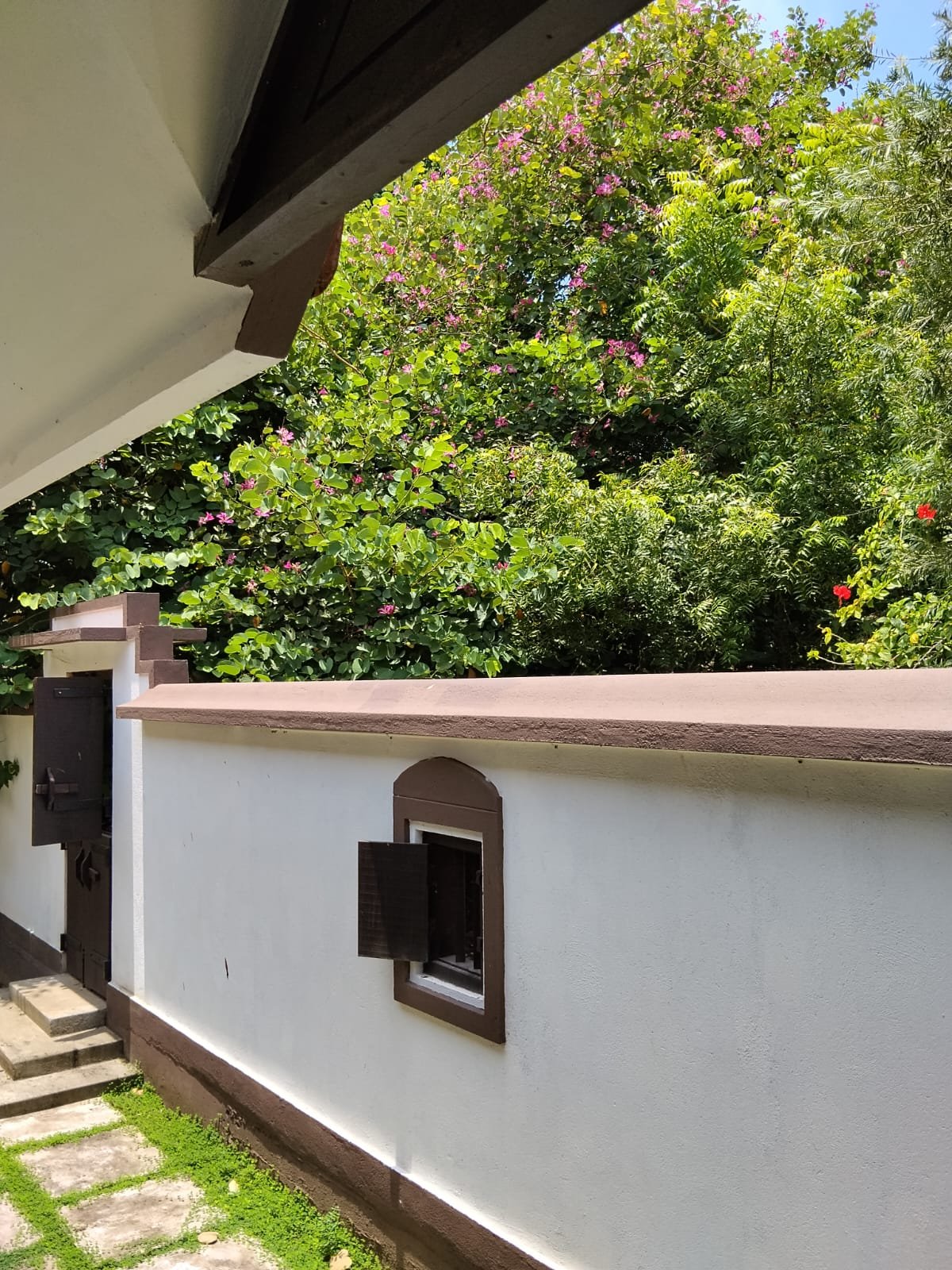 Traditional garden wall and wooden shutters beneath flowering trees